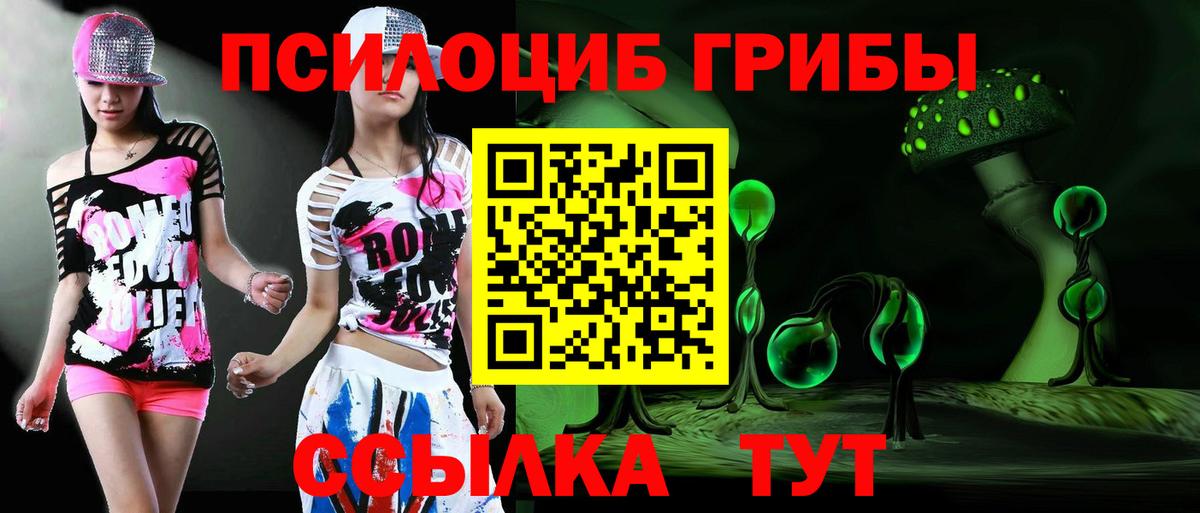Псилоцибиновые грибы мицелий Братск